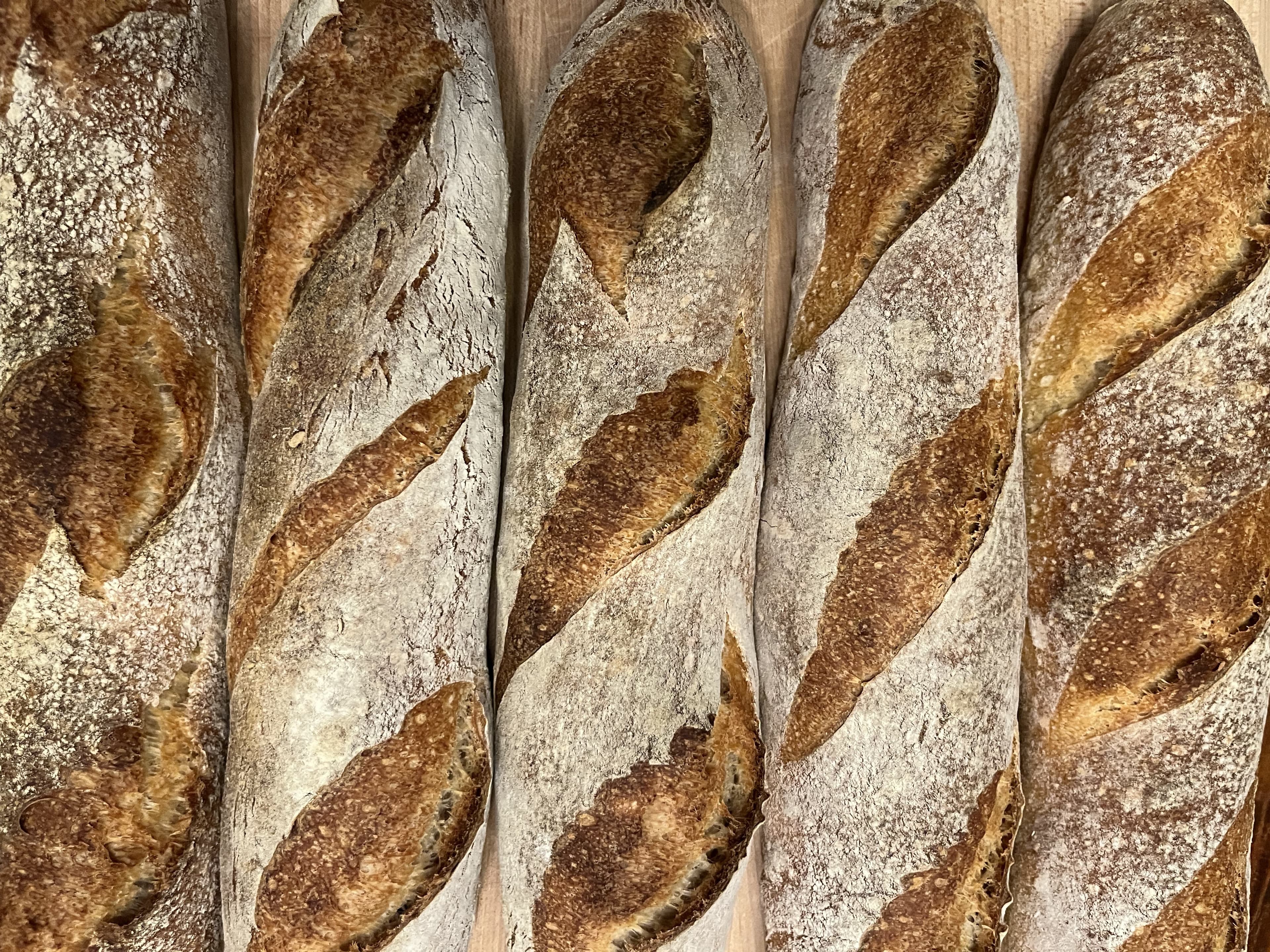 Bread